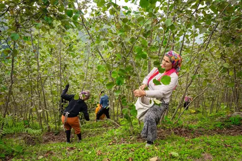 People in the forest