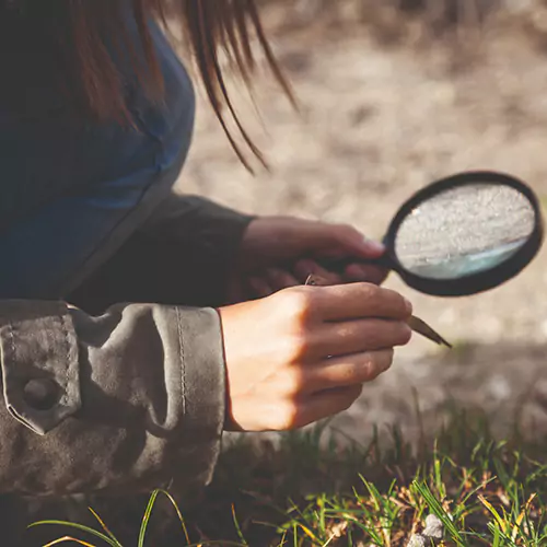 Person holding a magnifying glass inspecting the ground
