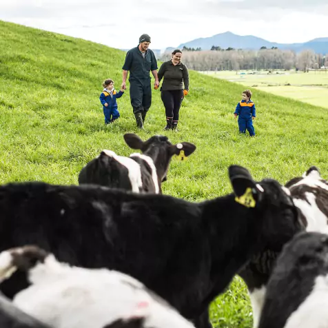 Parents with two kids on a cow field