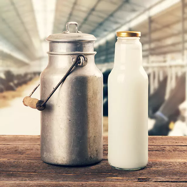 Milk cannister standing next to a glass bottle filled with milk