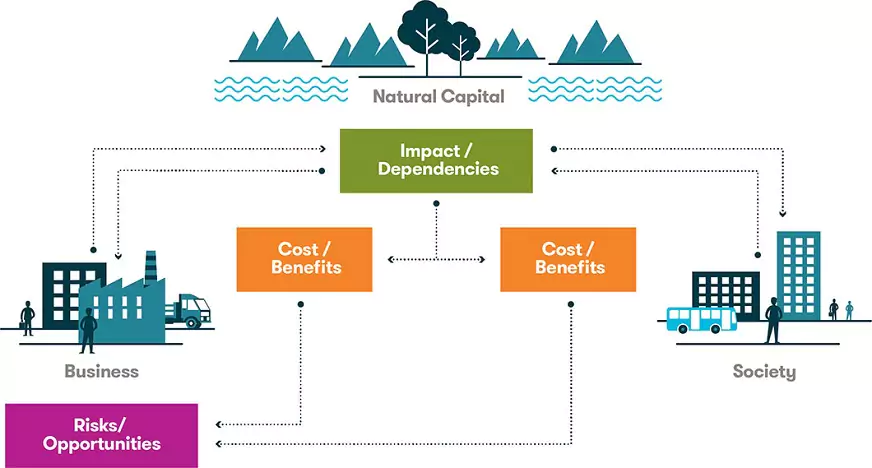 Natural capital diagram